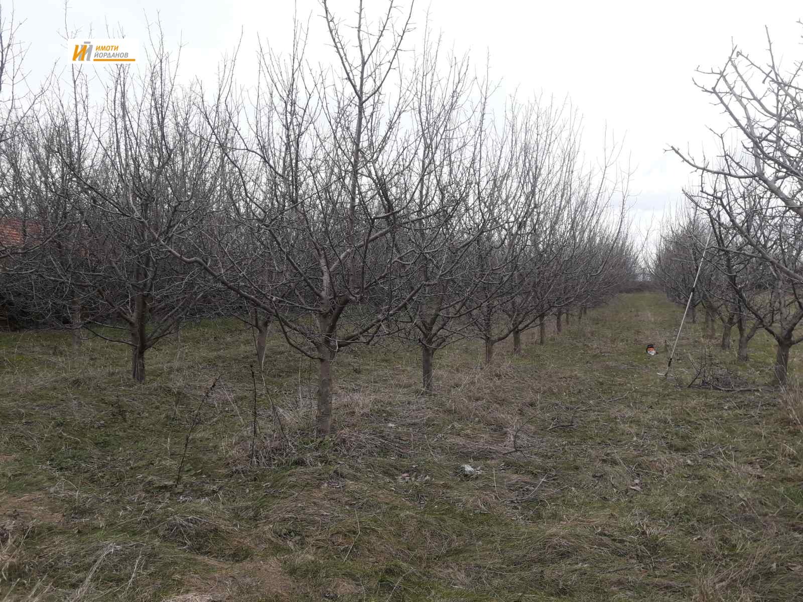������� ������ | Imot.bg � ����������� 1