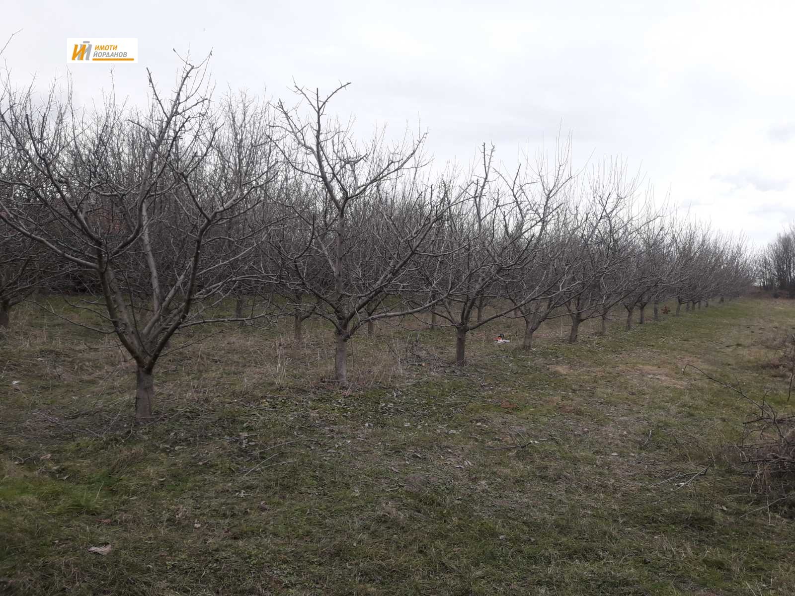 ������� ������ | Imot.bg � ����������� 2