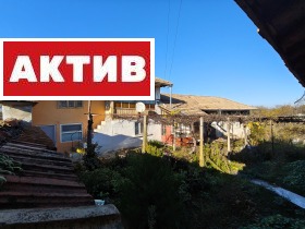 ����� ������� ����,���� ���������, �������