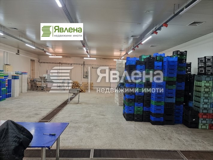 Продава  Пром. помещение област Шумен , гр. Велики Преслав , 1250 кв.м | 79991201 - изображение [5]