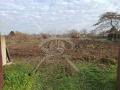 Продава  Парцел област Пловдив , с. Скутаре , 1424 кв.м | 79044757 - изображение [2]