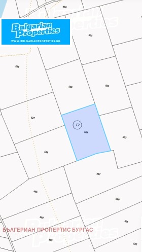 ����� ������� ������,���� ������, ����� ����