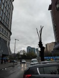 Продава МАГАЗИН, град София, Център • 550000 € / 1075706.50 лв. • 79614918 1