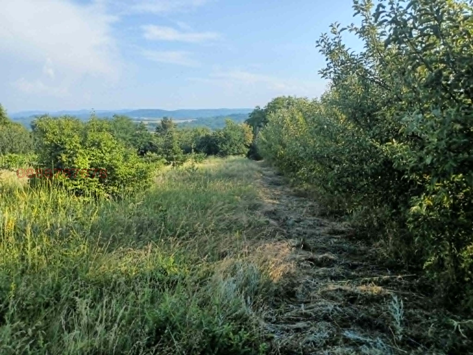 ������� ������ | Imot.bg � ����������� 1