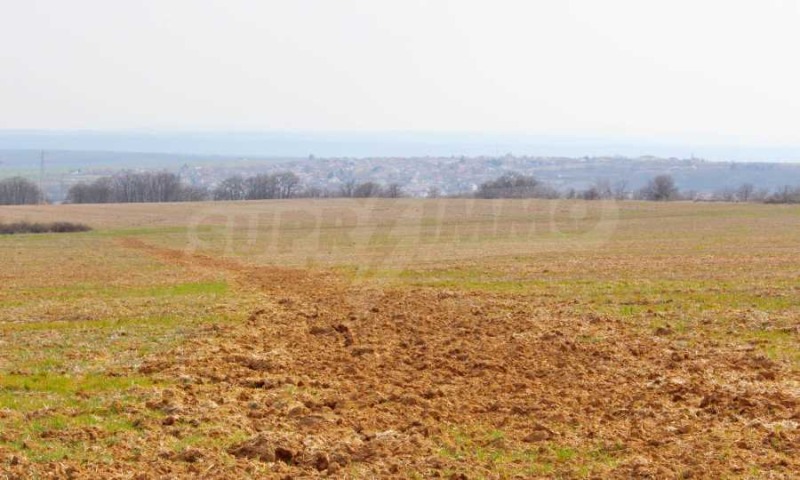 Zu verkaufen  Handlung region Varna , Bliznazi , 3270 qm | 26276825 - Bild [4]