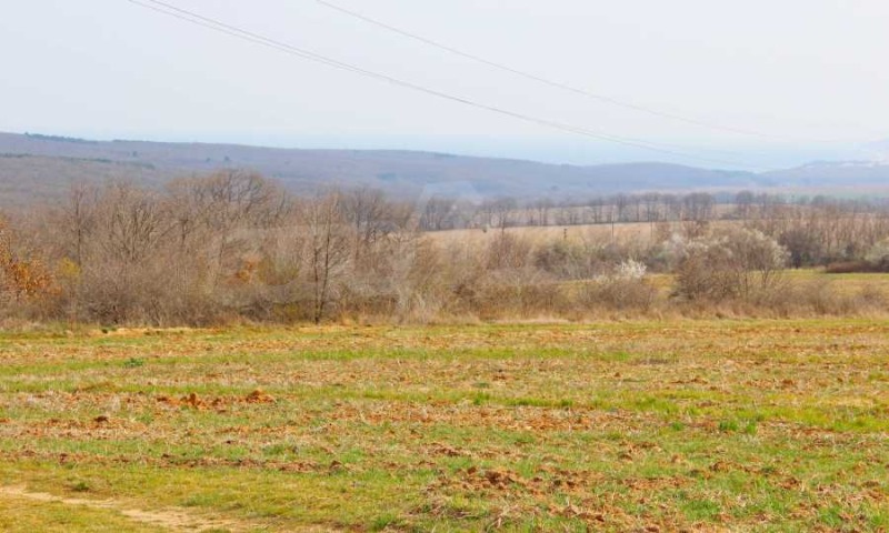 Zu verkaufen  Handlung region Varna , Bliznazi , 3270 qm | 26276825 - Bild [7]