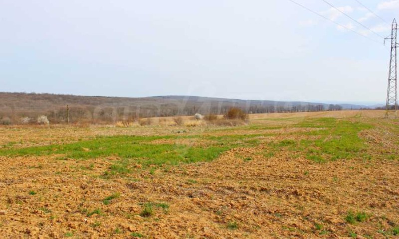 Продава ПАРЦЕЛ, област Варна, с. Близнаци • 22000 € • 31229883 — Holmes.bg