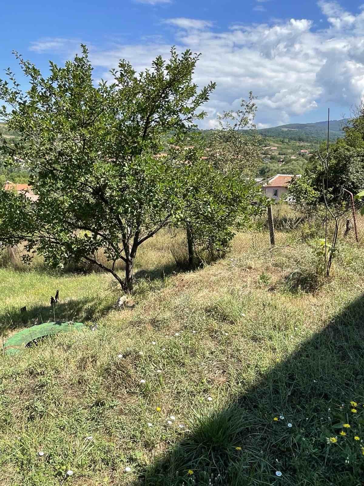 Продава КЪЩА, с. Тополница, област Кюстендил, снимка 7 - Къщи - 54774887