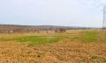 Продава ПАРЦЕЛ, област Варна, с. Близнаци • 22000 € • 31229883 — Holmes.bg