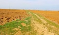Продава ПАРЦЕЛ, област Варна, с. Близнаци • 22000 € • 31229883 — Holmes.bg