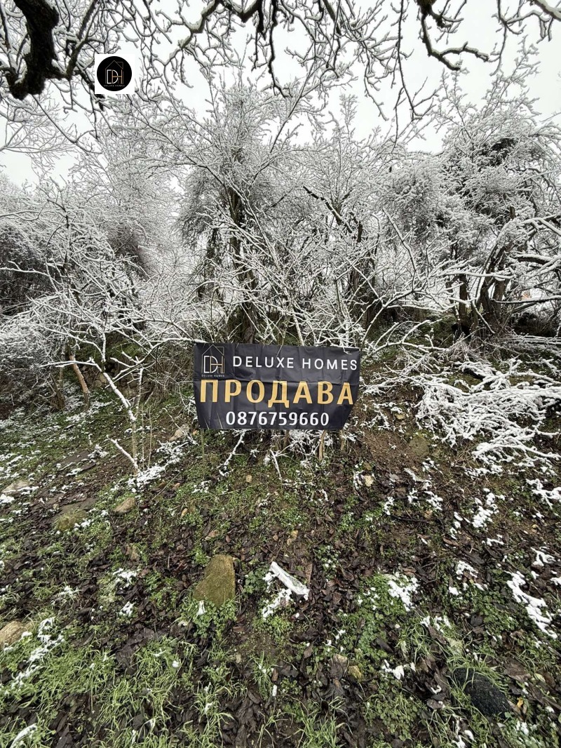 Продава ПАРЦЕЛ в област Пловдив, с. Мраченик - 915 кв.м / 17 500 € » 34 227.03 лв., ДЕЛУКС ХОУМС ПЛОВДИВ
