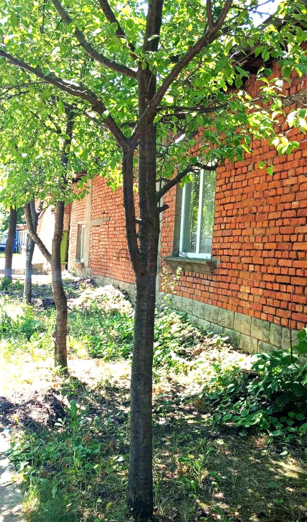 Продава КЪЩА | Imot.bg — изображение 14