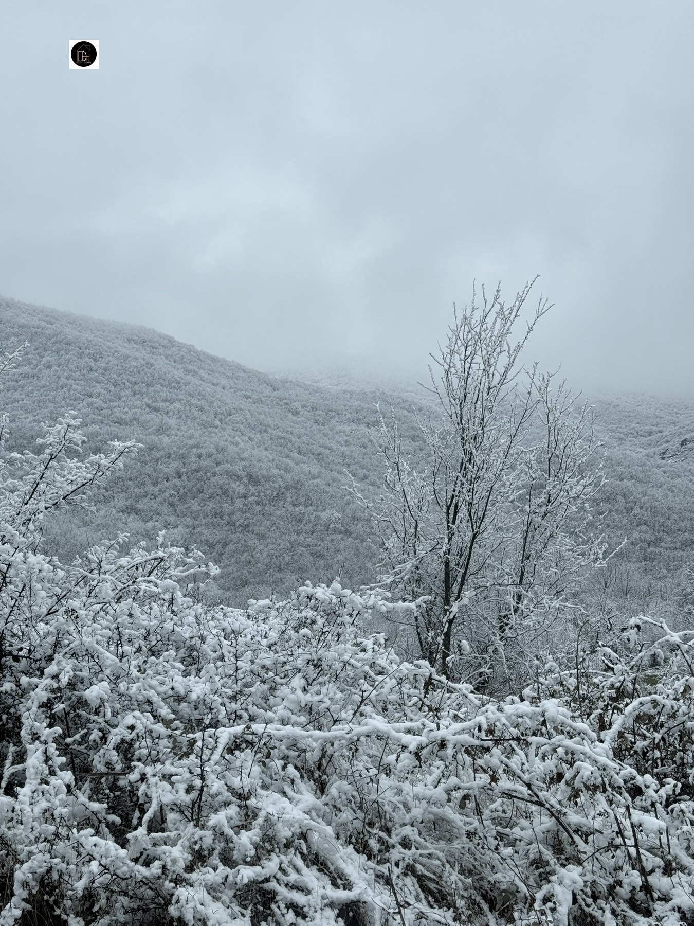 ������� ������ | Imot.bg � ����������� 3