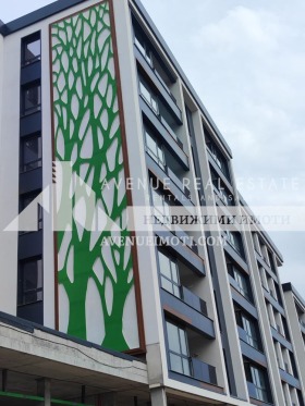 ����� ������� 2-�����,���� �������, �������� 2