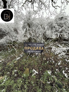 ПАРЦЕЛ, 915 m2