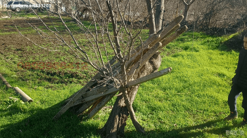 Продава ВИЛА, гр. Димитровград, област Хасково, снимка 3 - Вили - 53246037