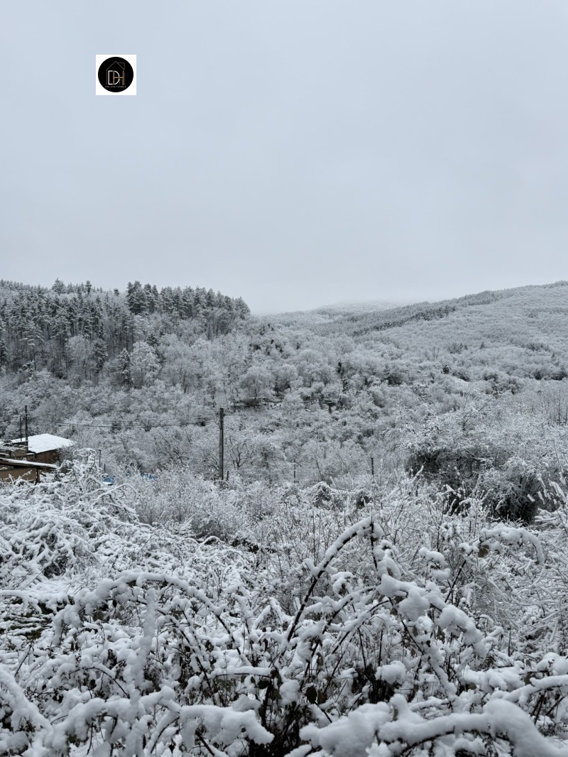 Продава ПАРЦЕЛ, с. Мраченик, област Пловдив, снимка 5 - Парцели - 53442581