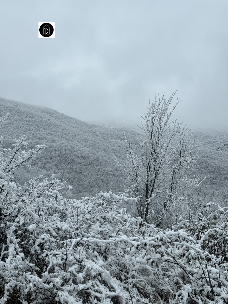 Продава ПАРЦЕЛ, с. Мраченик, област Пловдив, снимка 3 - Парцели - 53442581