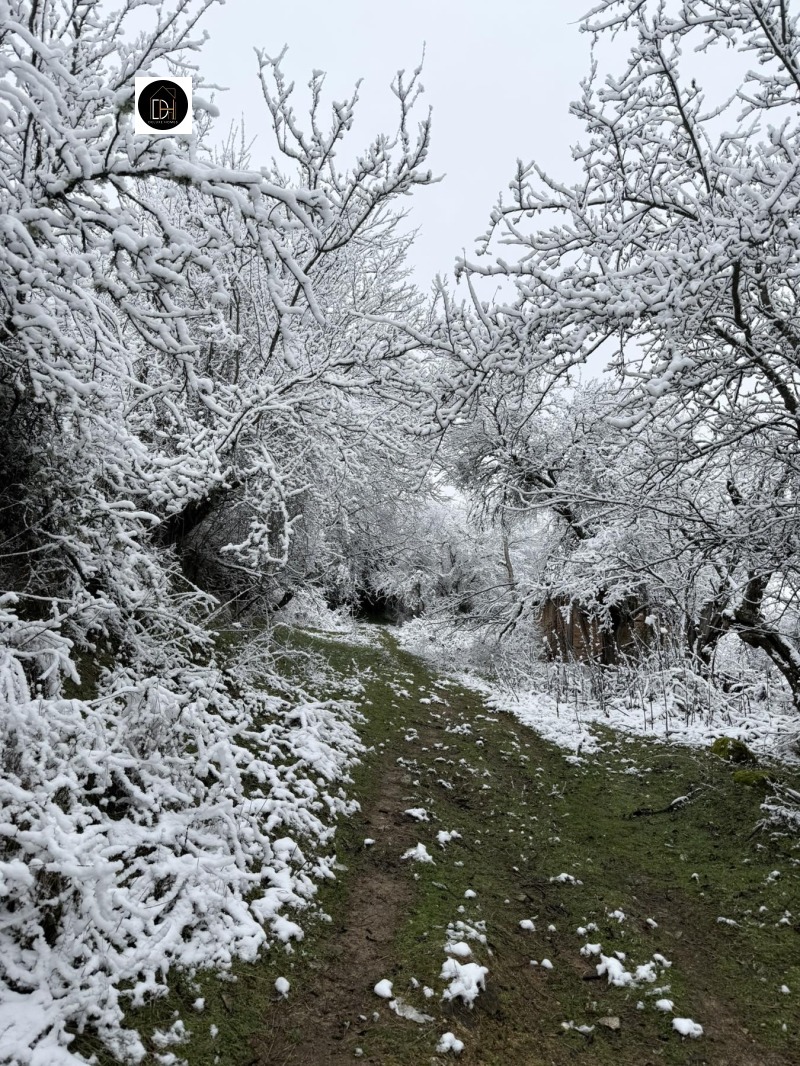 Продава ПАРЦЕЛ, с. Мраченик, област Пловдив, снимка 2 - Парцели - 53442581
