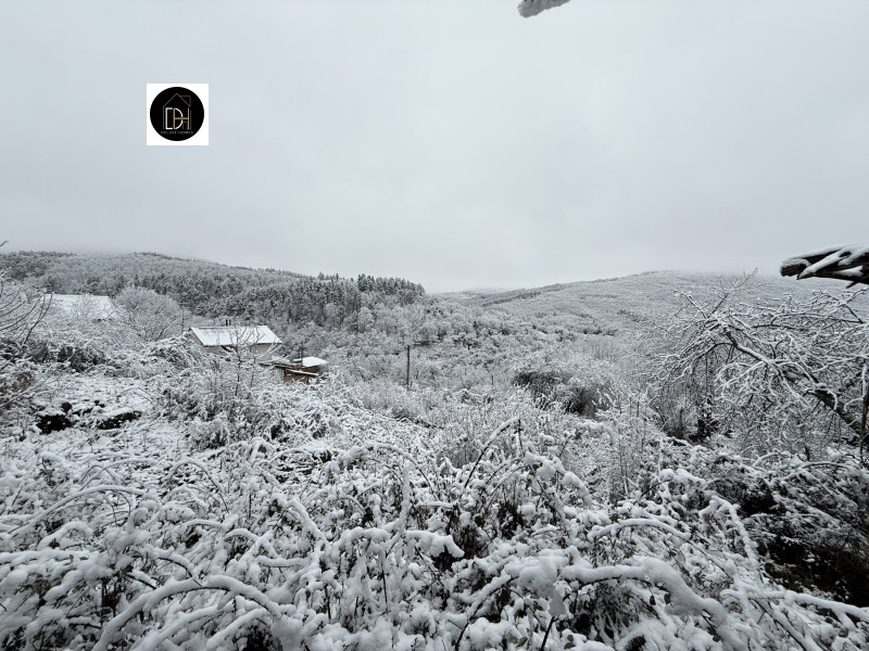 Продава ПАРЦЕЛ, с. Мраченик, област Пловдив, снимка 6 - Парцели - 53442581