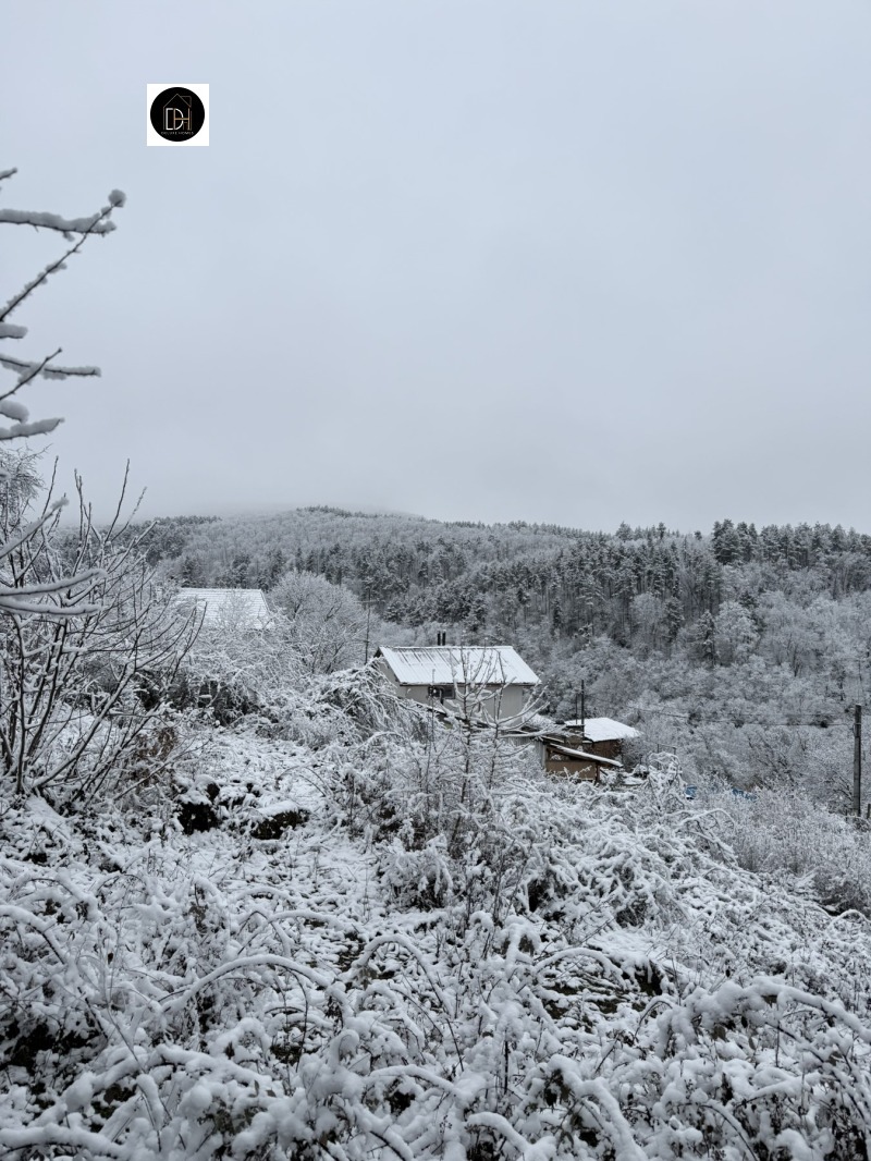 Продава ПАРЦЕЛ, с. Мраченик, област Пловдив, снимка 4 - Парцели - 53442581