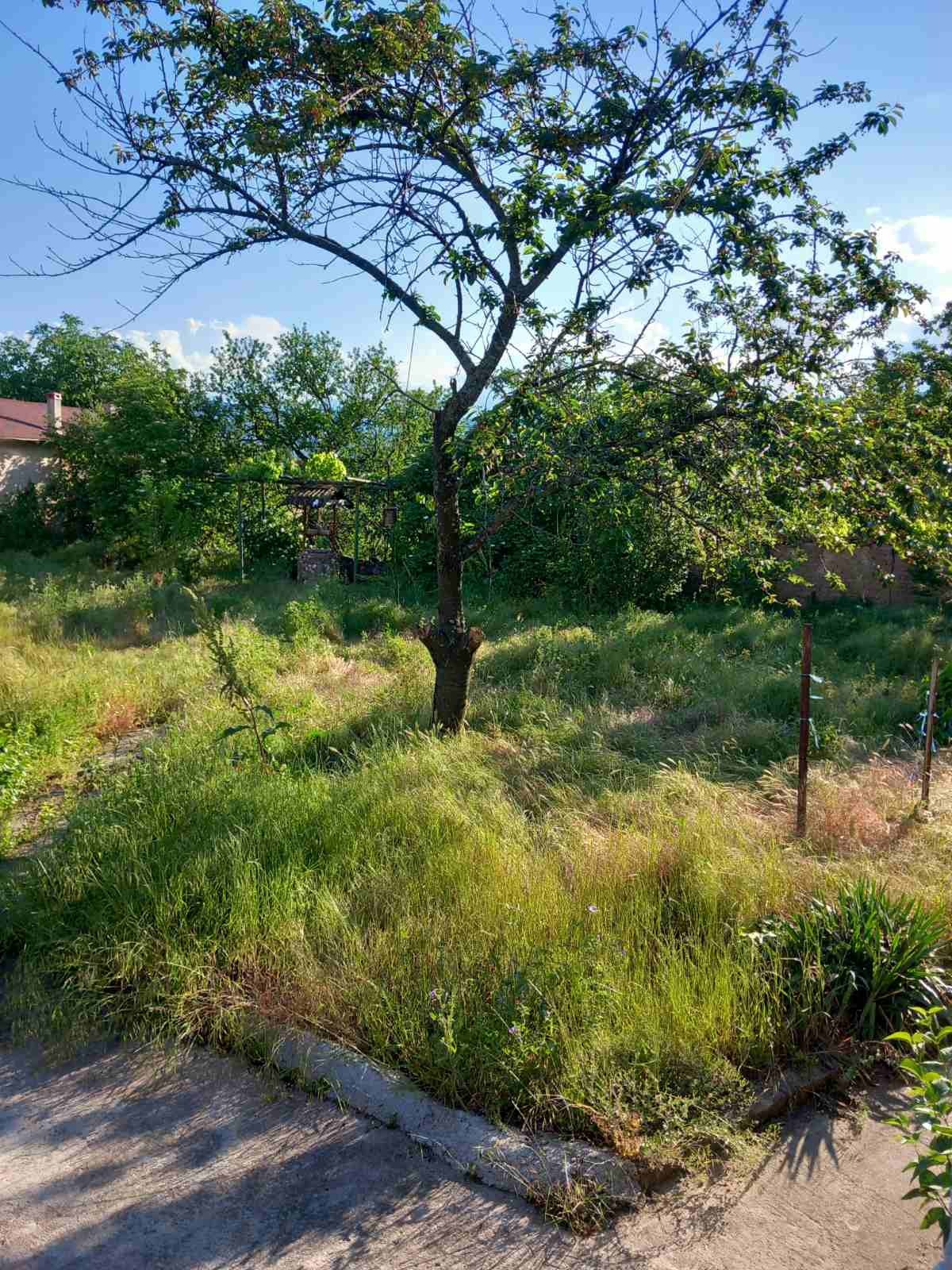 Продава КЪЩА, с. Церово, област Пазарджик, снимка 17 - Къщи - 54688783