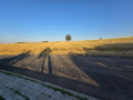 Продава ПАРЦЕЛ, с. Резбарци, област Кърджали, снимка 4