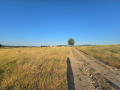 Продава ПАРЦЕЛ, с. Резбарци, област Кърджали, снимка 6