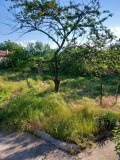 Продава  Къща област Пазарджик , с. Церово , 100 кв.м | 82038717 - изображение [17]