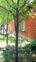 Продава КЪЩА, област Русе, с. Щръклево • 58000 € • 41139407 — Holmes.bg