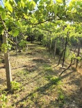 Продава КЪЩА, област Русе, с. Щръклево • 58000 € • 41139407 — Holmes.bg