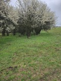 Продава ПАРЦЕЛ, област Перник, с. Слаковци • 29500 лв. • 81815147 — Holmes.bg