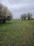 Продава ПАРЦЕЛ, област Перник, с. Слаковци • 29500 лв. • 81815147 — Holmes.bg