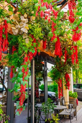 ������� ��������� | Imot.bg � ����� ������ 6