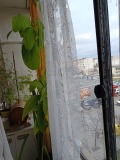 Продава  2-стаен град София , Дружба 1 , 45 кв.м | 70529757 - изображение [6]