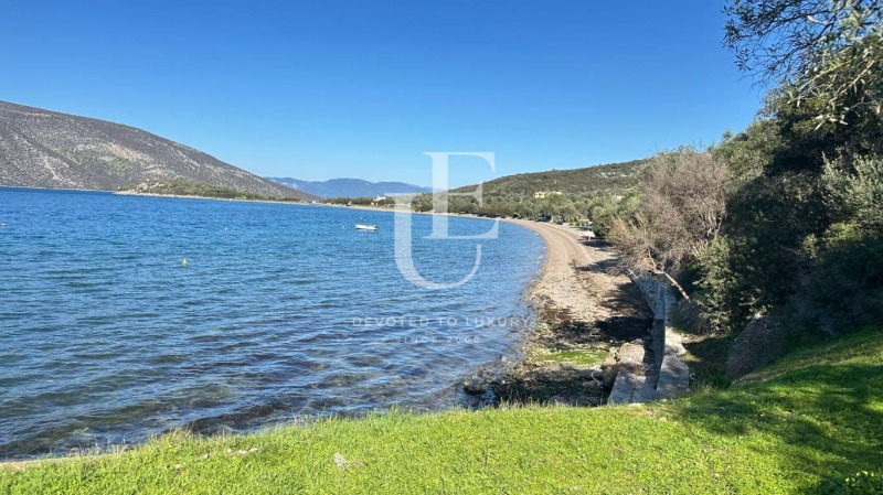 Продава ПАРЦЕЛ, Извън страната, област Извън страната, снимка 4 - Парцели - 51018913