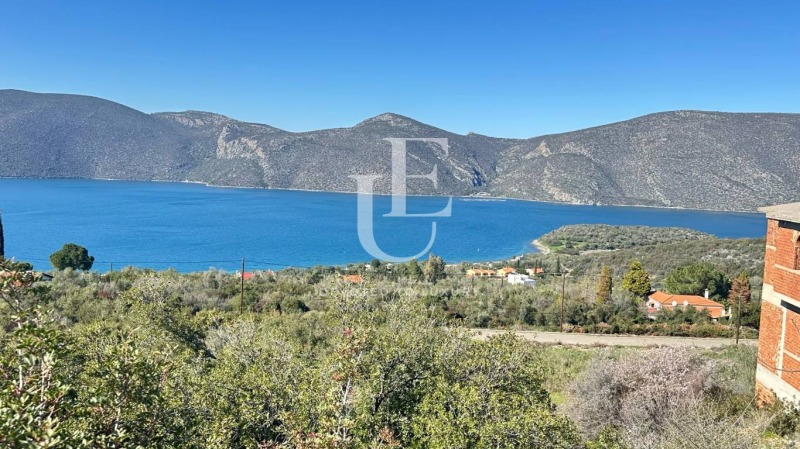 Продава ПАРЦЕЛ, Извън страната, област Извън страната, снимка 2 - Парцели - 51018913