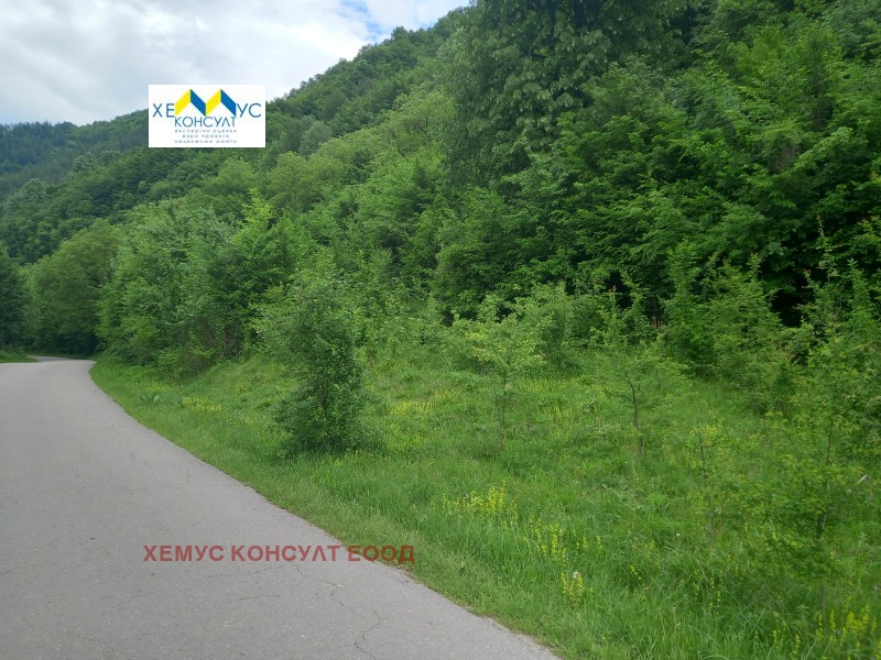 Продава  Парцел област Ловеч , с. Черни Осъм , 3397 кв.м | 98921713