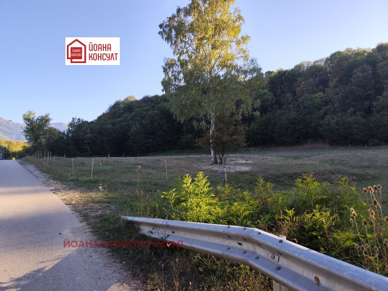 Продаја  Плот регион Ловецх , Априлци , 1070 м2 | 72593180 - слика [4]