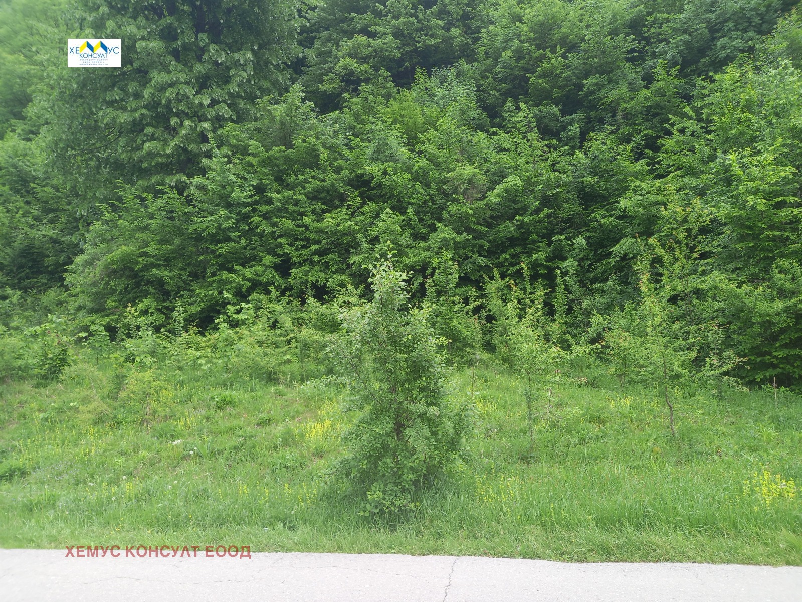 Продава ПАРЦЕЛ, с. Черни Осъм, област Ловеч, снимка 2 - Парцели - 51374552