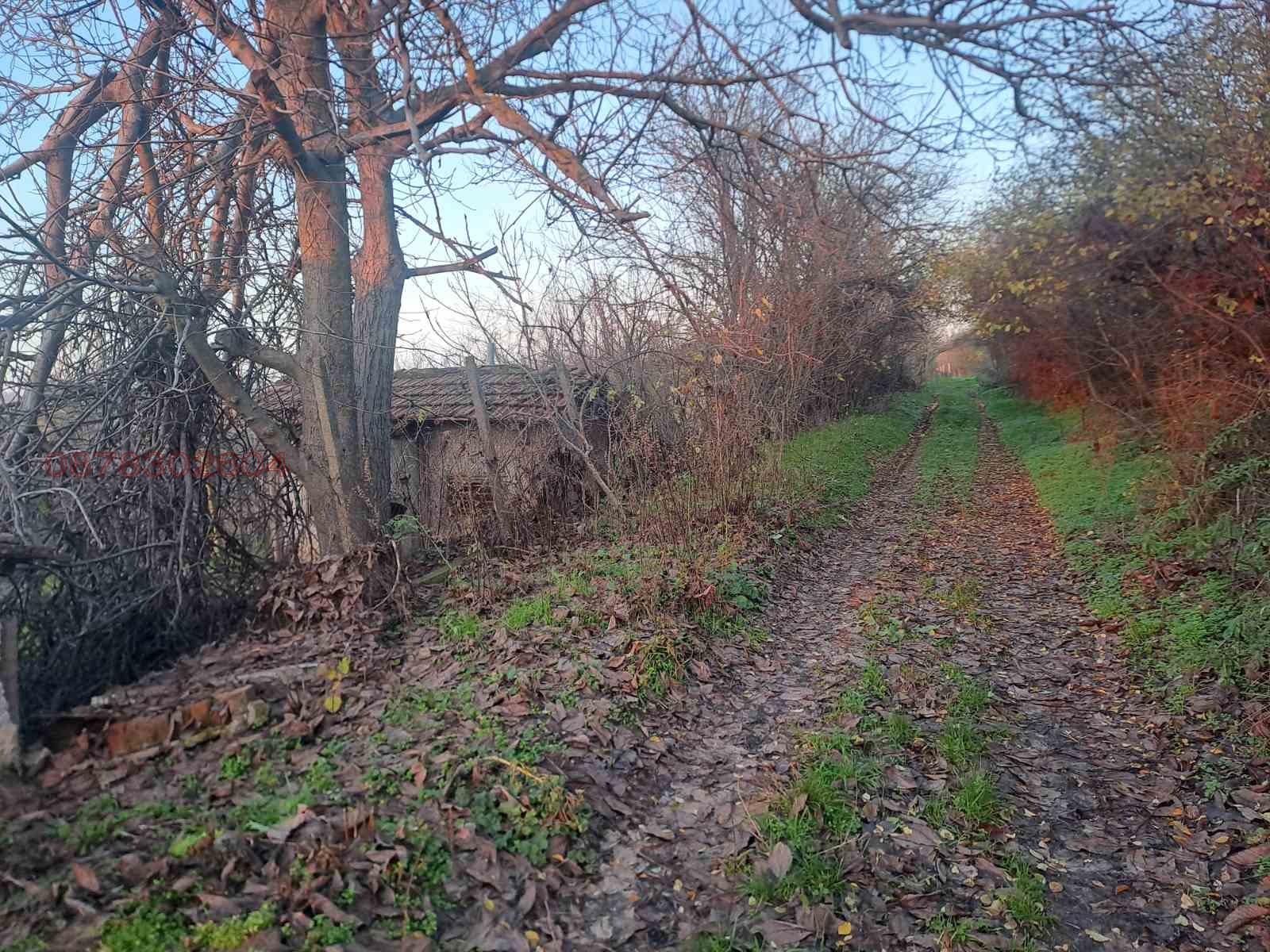 ������� ���� | Imot.bg � ����������� 3