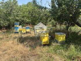 Сюжет Момчилово, область Варна