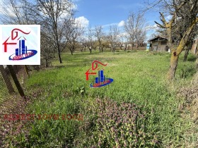 ����� ������� ������,�. �������, ������ �����