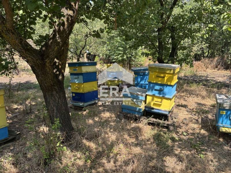 For Sale  Plot region Varna , Momchilovo , 1720 sq.m | 25011274 - image [2]