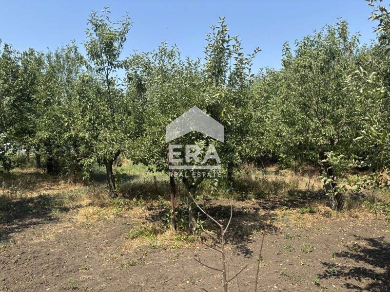 For Sale  Plot region Varna , Momchilovo , 1720 sq.m | 25011274 - image [3]
