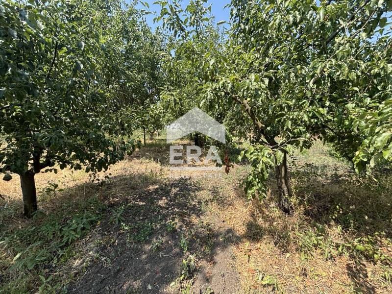 For Sale  Plot region Varna , Momchilovo , 1720 sq.m | 25011274 - image [5]