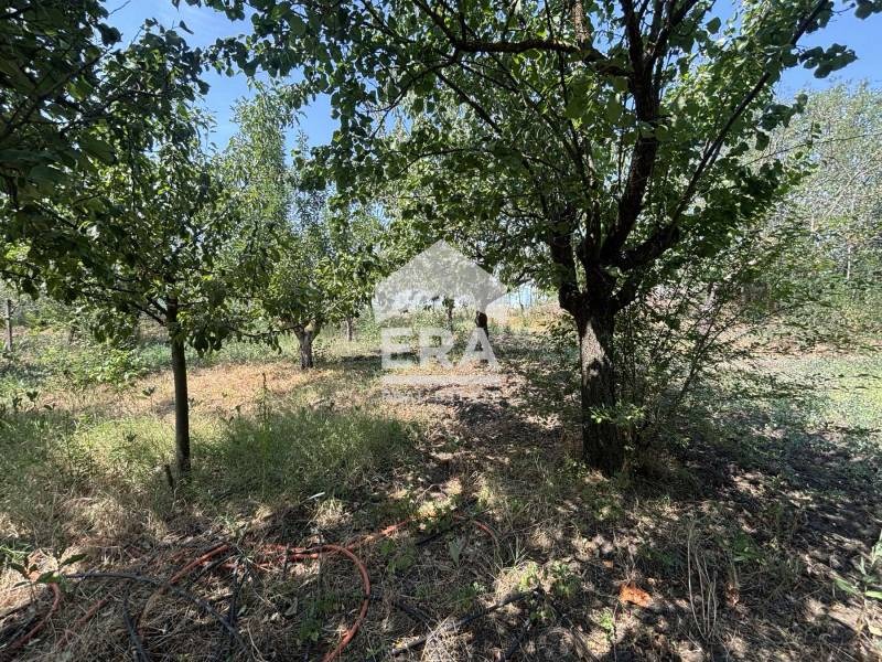 For Sale  Plot region Varna , Momchilovo , 1720 sq.m | 25011274 - image [7]