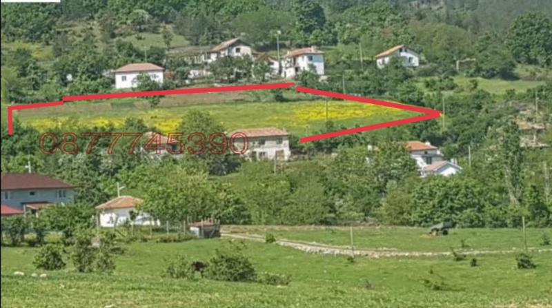 Продава ЗЕМЕДЕЛСКА ЗЕМЯ, с. Кьосево, област Кърджали, снимка 2 - Земеделска земя - 54229008