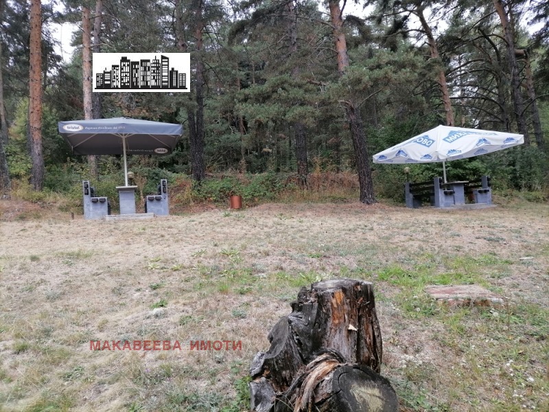 Продава БИЗНЕС ИМОТ, хижа Здравец, област Пловдив, снимка 6 - Други - 51920446