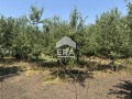 Продава ПАРЦЕЛ, област Варна, с. Момчилово • 43000 € • 33567991 — Holmes.bg